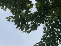 -玄武湖景区-情侣园游乐场