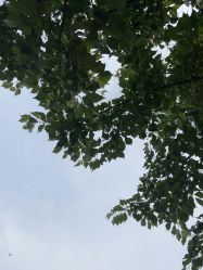 -玄武湖景区-情侣园游乐场