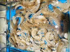 -加餐海鲜自助(宝龙一城店)