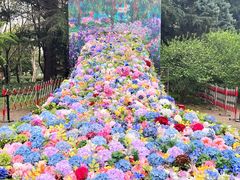 -上海共青森林公园