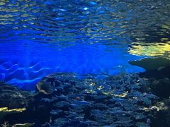 -华夏文旅海洋公园