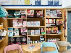 -宠颐生宠物医院·异宠猫科内科·诊疗中心宠巢店