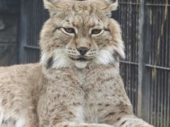 -石家庄市动物园