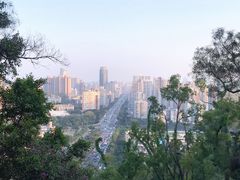 -板樟山森林公园