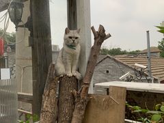 -小时光咖啡馆(北锣鼓巷店)