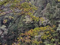 -松州古城