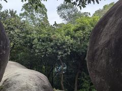 -火炉山森林公园