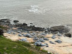 -问海文创园