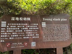 -花岙岛
