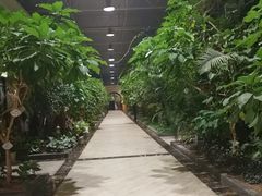 -天宫南铂玫瑰园酒店