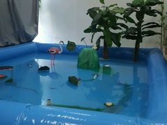 -九月鹰飞汉服摄影工作室