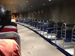 -波斯托伊纳溶洞