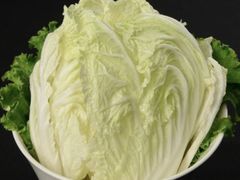 白菜-波密野生菌王酒家