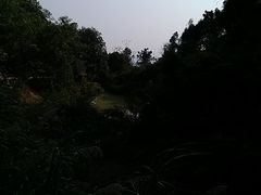 路面-火炉山森林公园