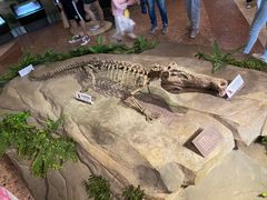 -自贡恐龙博物馆