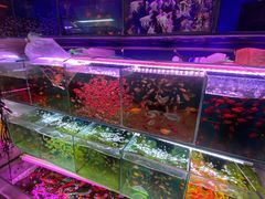-双季花艺园艺市场(浦东店)