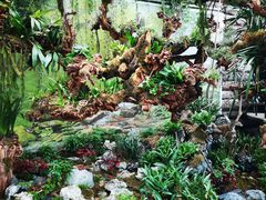 -北京植物园-展览温室