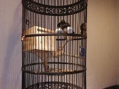 -清真·京华源铜锅涮肉(丰庆店)