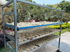 门面-西关竹园(荔枝湾店)