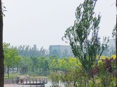 -东郊湿地公园