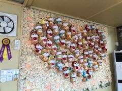 -柴犬高等学院·狗咖·柴犬售卖·宠物训练