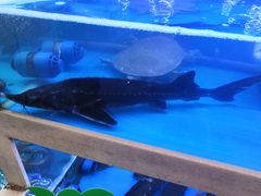 -舟山海鲜·江浙菜(银沙路店)