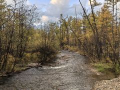 -莫尔道嘎国家森林公园