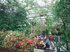-The Grounds of Alexandria