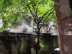 -煲煲掂风味煲仔饭餐厅(西区店)