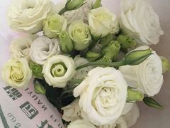 -秦美花卉(天朗·莱茵小城2期店)