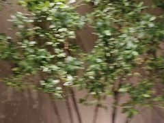 -华夏良子·足道SPA艾灸(王府井店)
