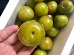 -呼吸森林·生态农庄农家乐私房菜