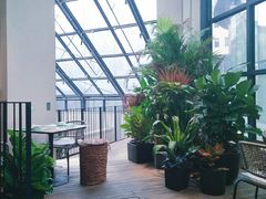 -大树餐厅(红旗街万达店)