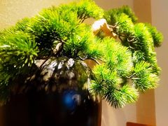 -上座云间·青年赣菜(绿茵店)