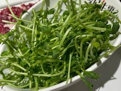 -今日牛事潮汕鲜牛肉火锅(瑞金店)