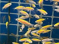 -海底捞火锅(新松江路店)