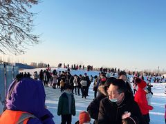 -绿野森林乐园冰雪季