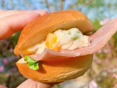 -中粮丰通（北京)食品有限公司