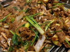 -大鸭梨烤鸭店(花园村店)