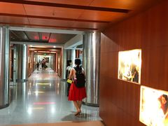 -广州市第二少年宫