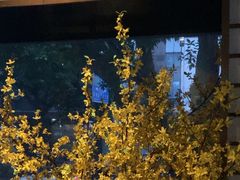 -上足·影院足道·SPA(红岭店)
