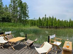 -白鹭湾湿地公园