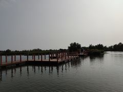 -芒洲湿地公园