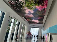 -Free Sky 云际观光层