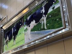 -义顺牛奶公司(新马路老店)