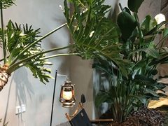 -J Create城市露营咖啡·简餐·宠物(上海动物园店)