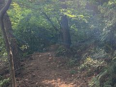 -句容茅山景区