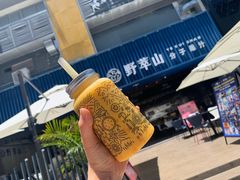 -野萃山·潮汕厚果汁(十亩地店)
