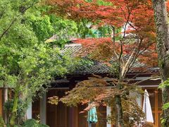 -杭州植物园