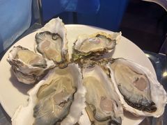 -千岛蚝高压锅生蚝·人参火锅(白云万达店)